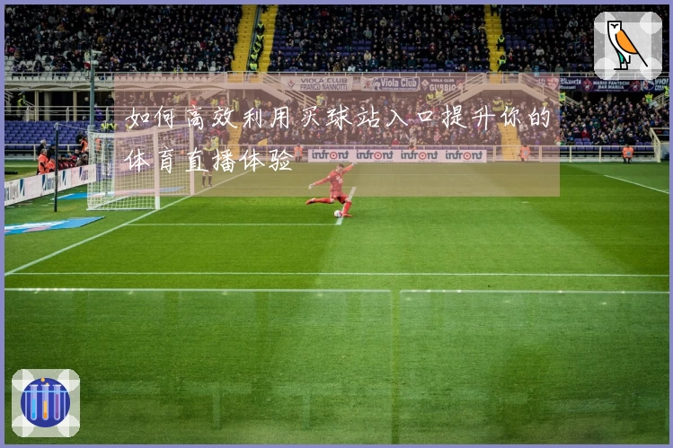 如何高效利用买球站入口提升你的体育直播体验