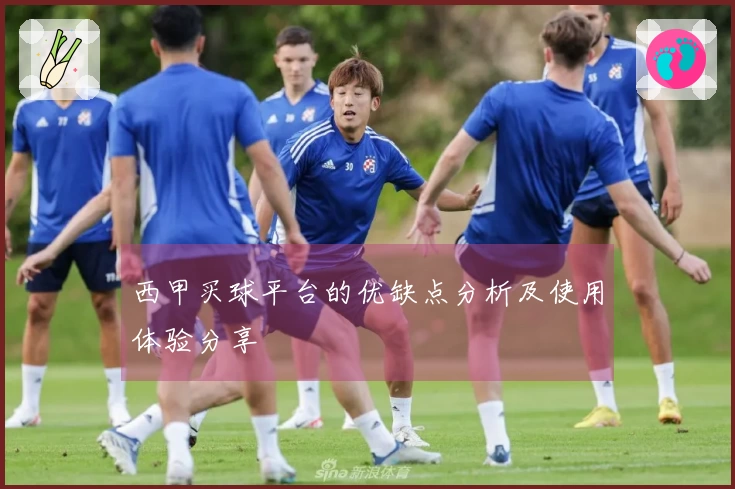 西甲买球平台的优缺点分析及使用体验分享